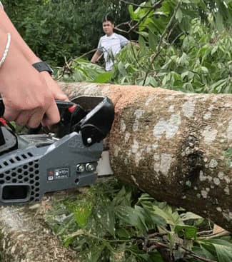 CẮT GỖ ĐẾN 60CM
